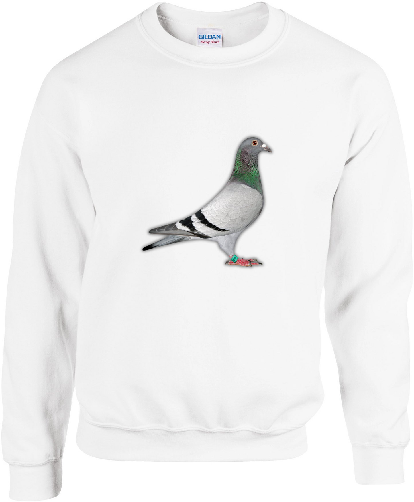 Pullover aus der DSK-Pigeon-Kollektion | Einzigartiges Tauben-Design