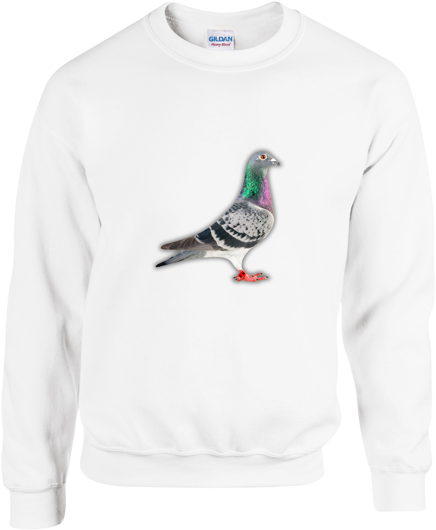 Pullover aus der DSK-Pigeon-Kollektion | Einzigartiges Tauben-Design