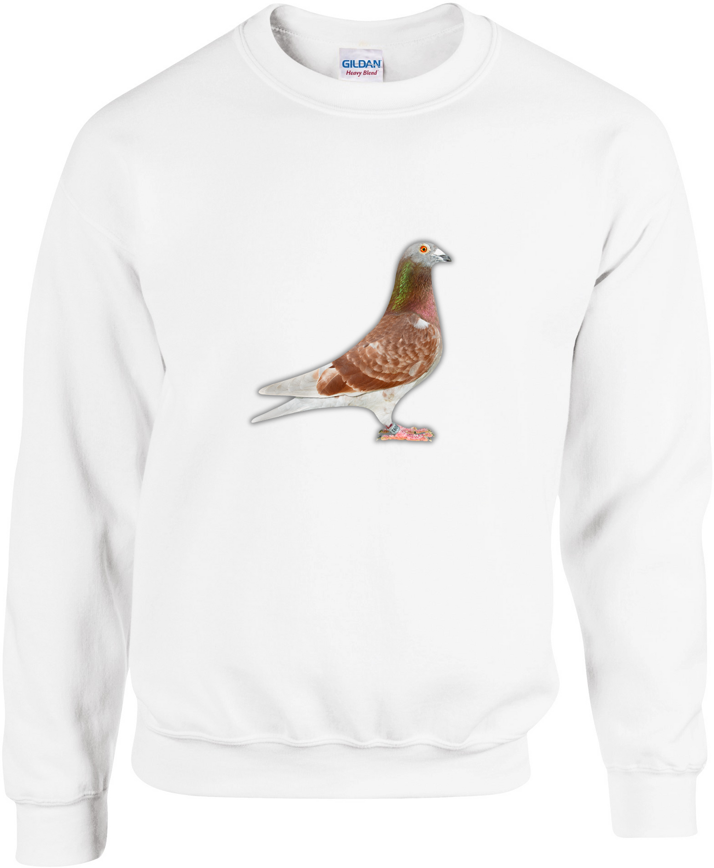 Pullover aus der DSK-Pigeon-Kollektion | Einzigartiges Tauben-Design
