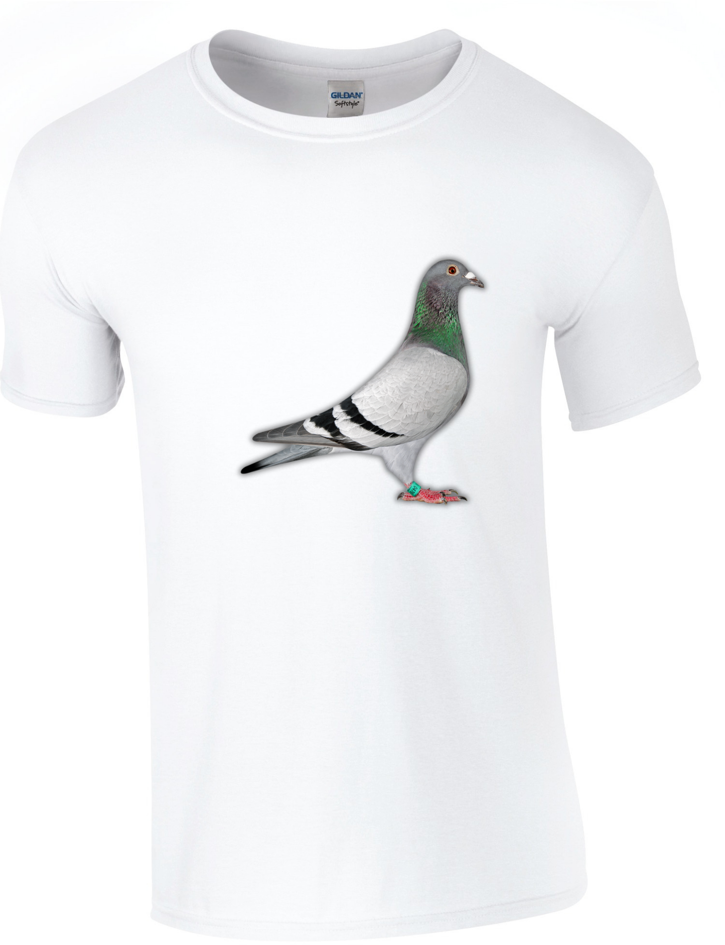 DSK Pigeon Collection T-Shirt - Unique Pigeon Design