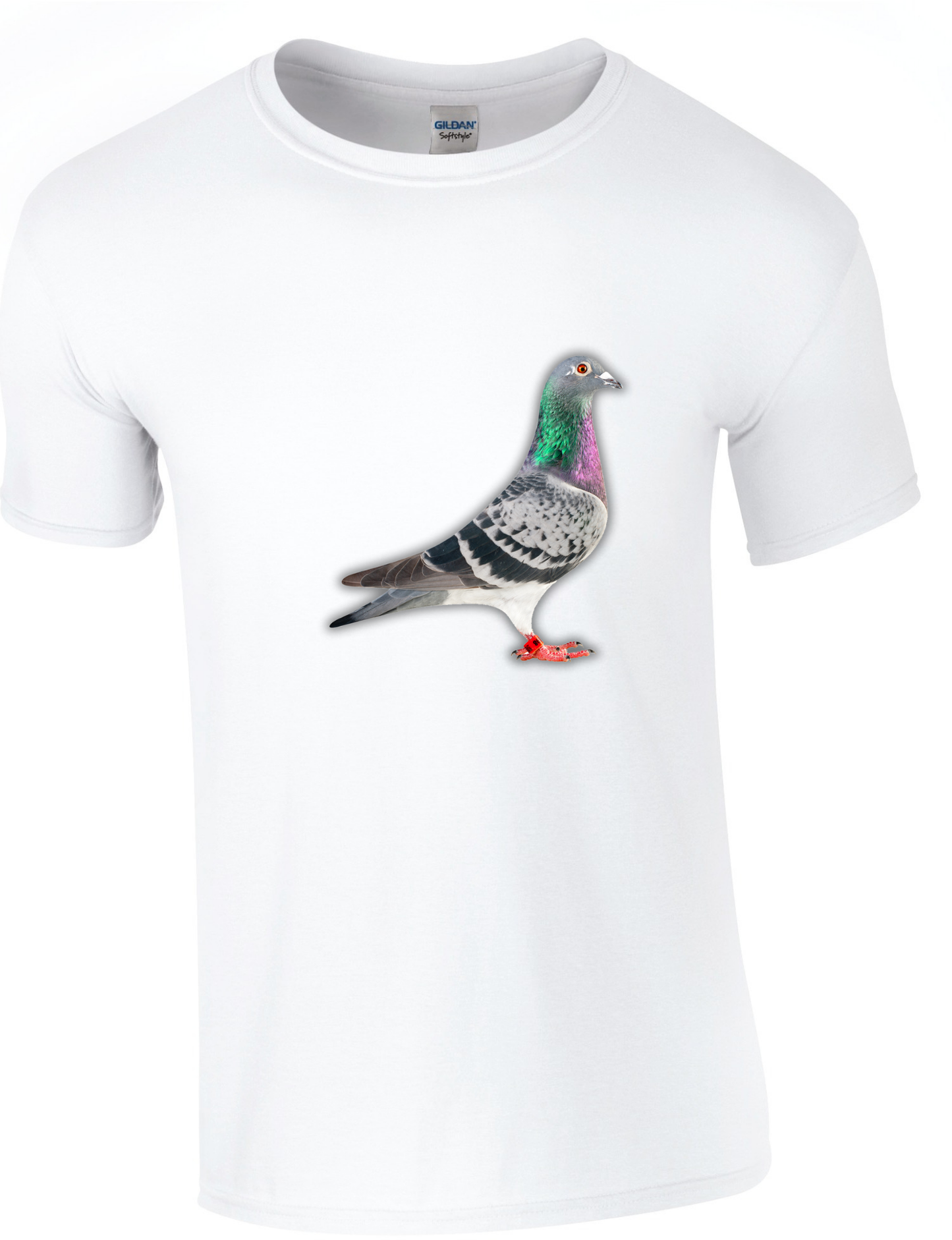 DSK Pigeon Collection T-Shirt - Unique Pigeon Design