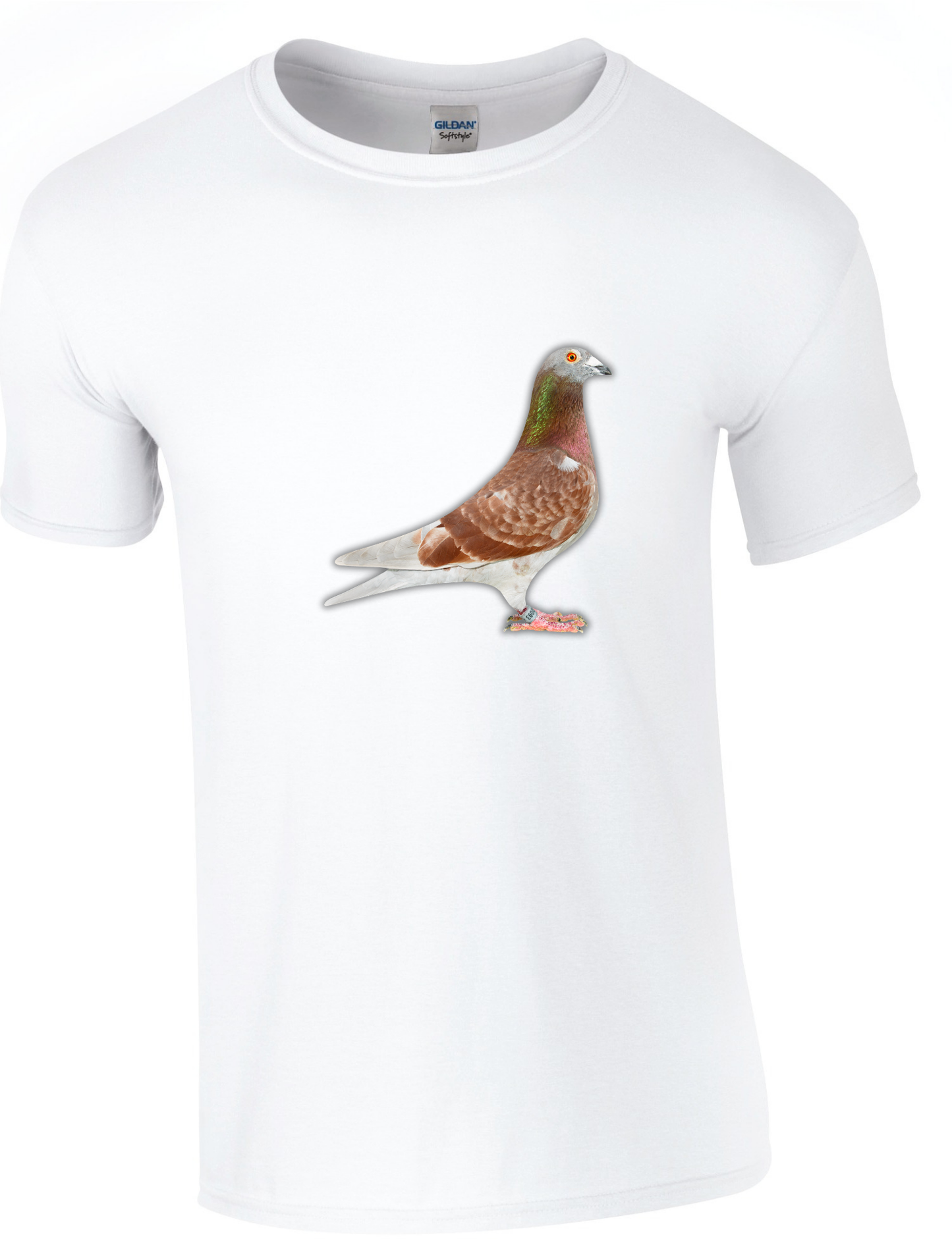 DSK Pigeon Collection T-Shirt - Unique Pigeon Design