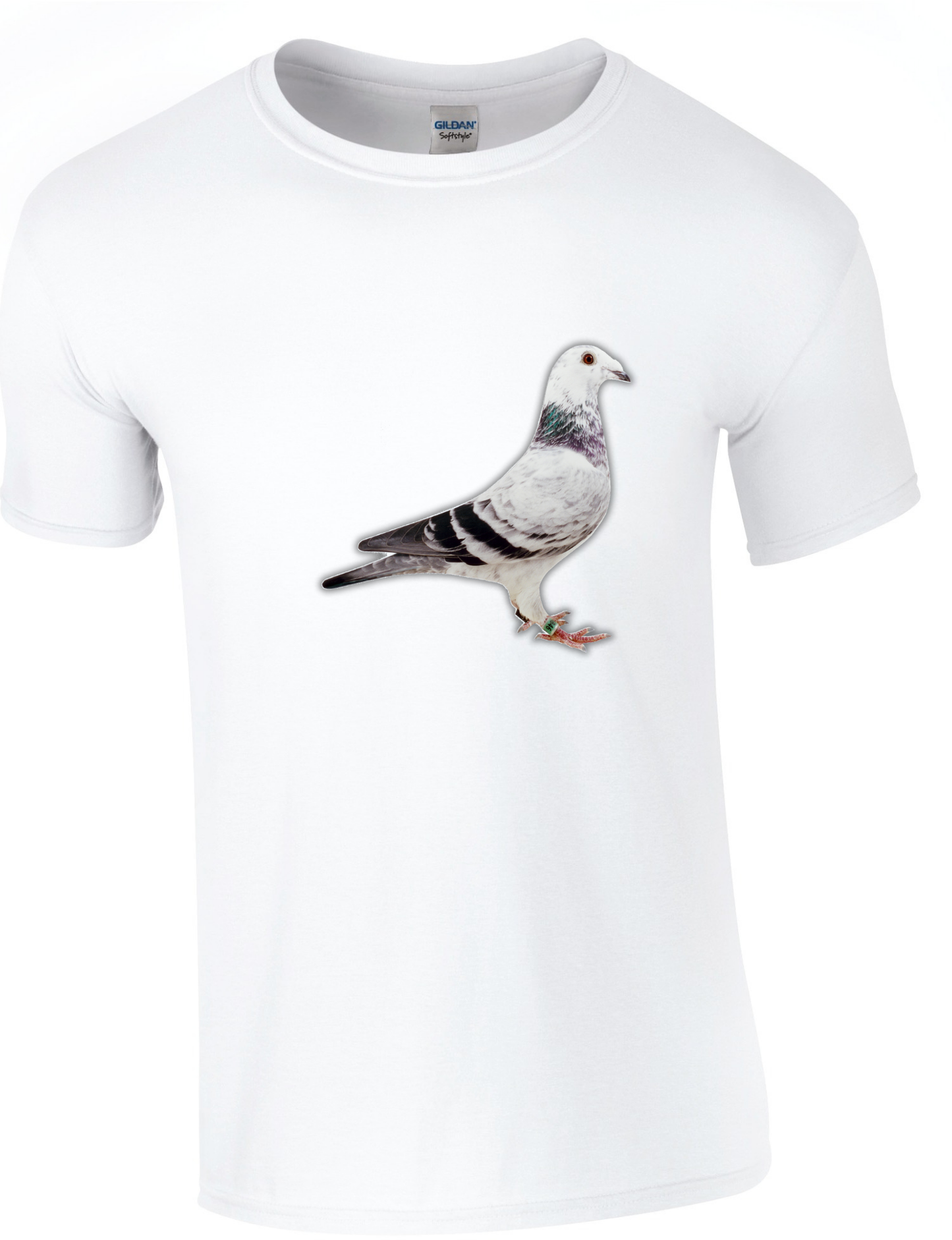 DSK Pigeon Collection T-Shirt - Unique Pigeon Design