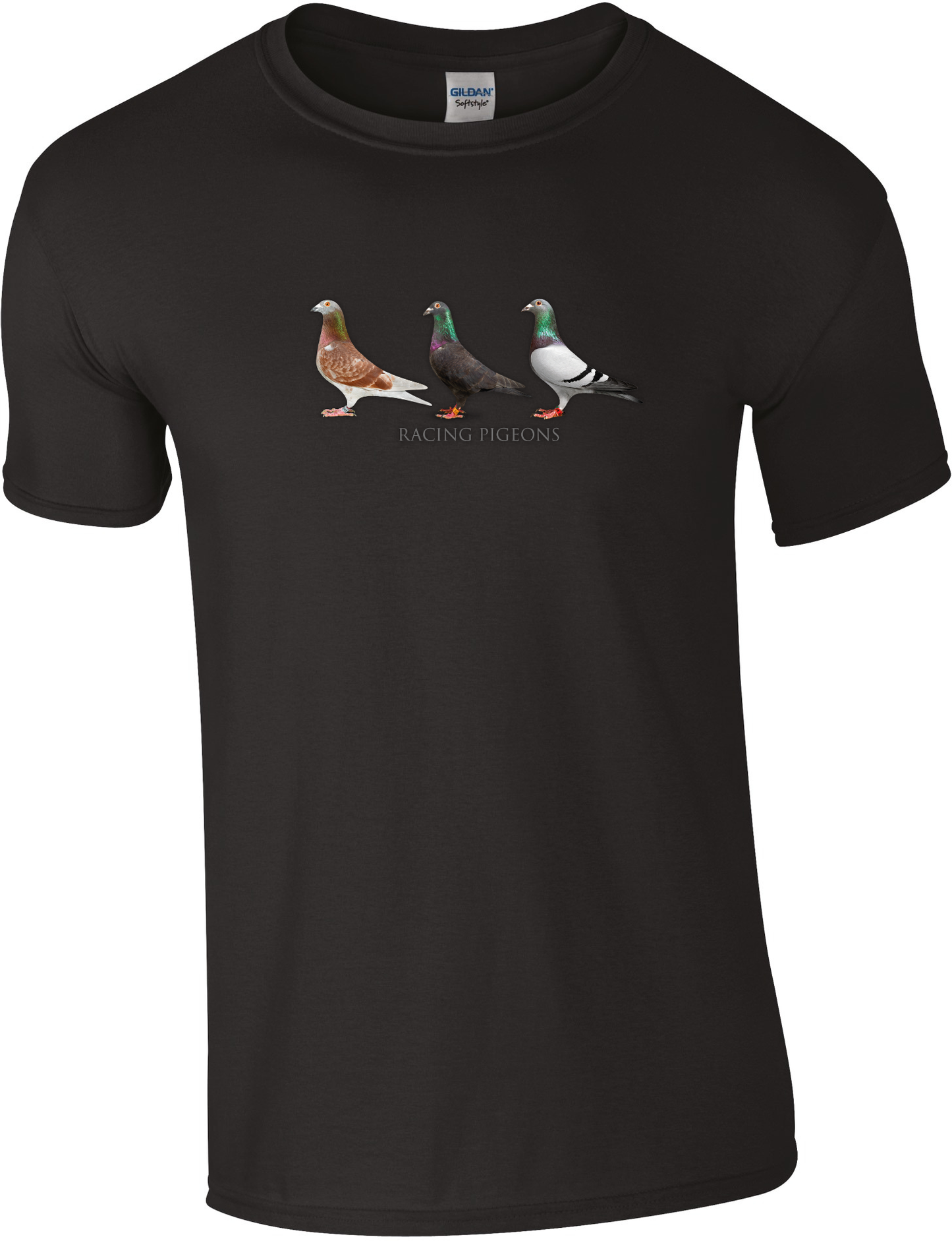 DSK Racing Pigeons T-Shirt – Komfort und Stil