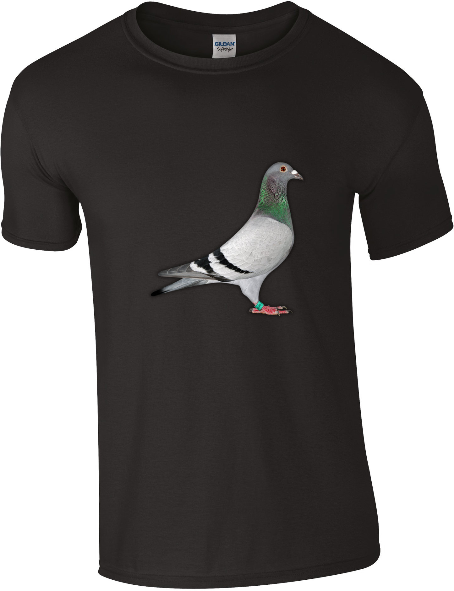DSK Pigeon Collection T-Shirt - Unique Pigeon Design