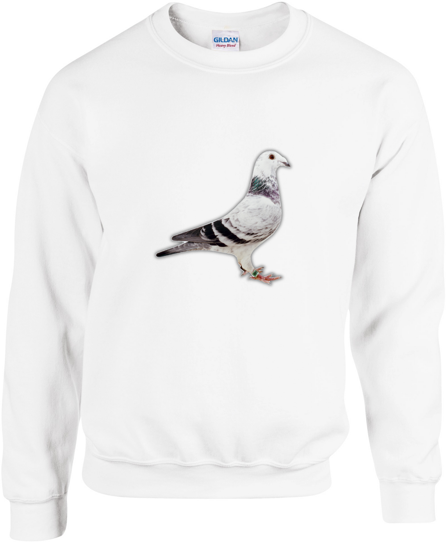 Pullover aus der DSK-Pigeon-Kollektion | Einzigartiges Tauben-Design