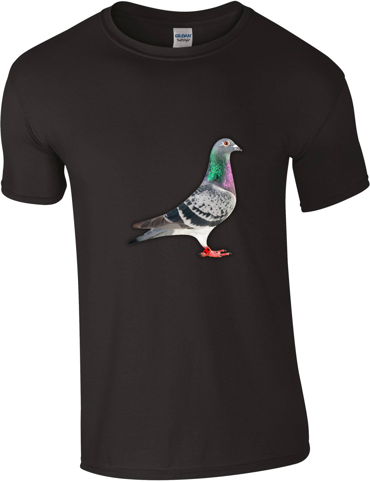 DSK Pigeon Collection T-Shirt - Unique Pigeon Design