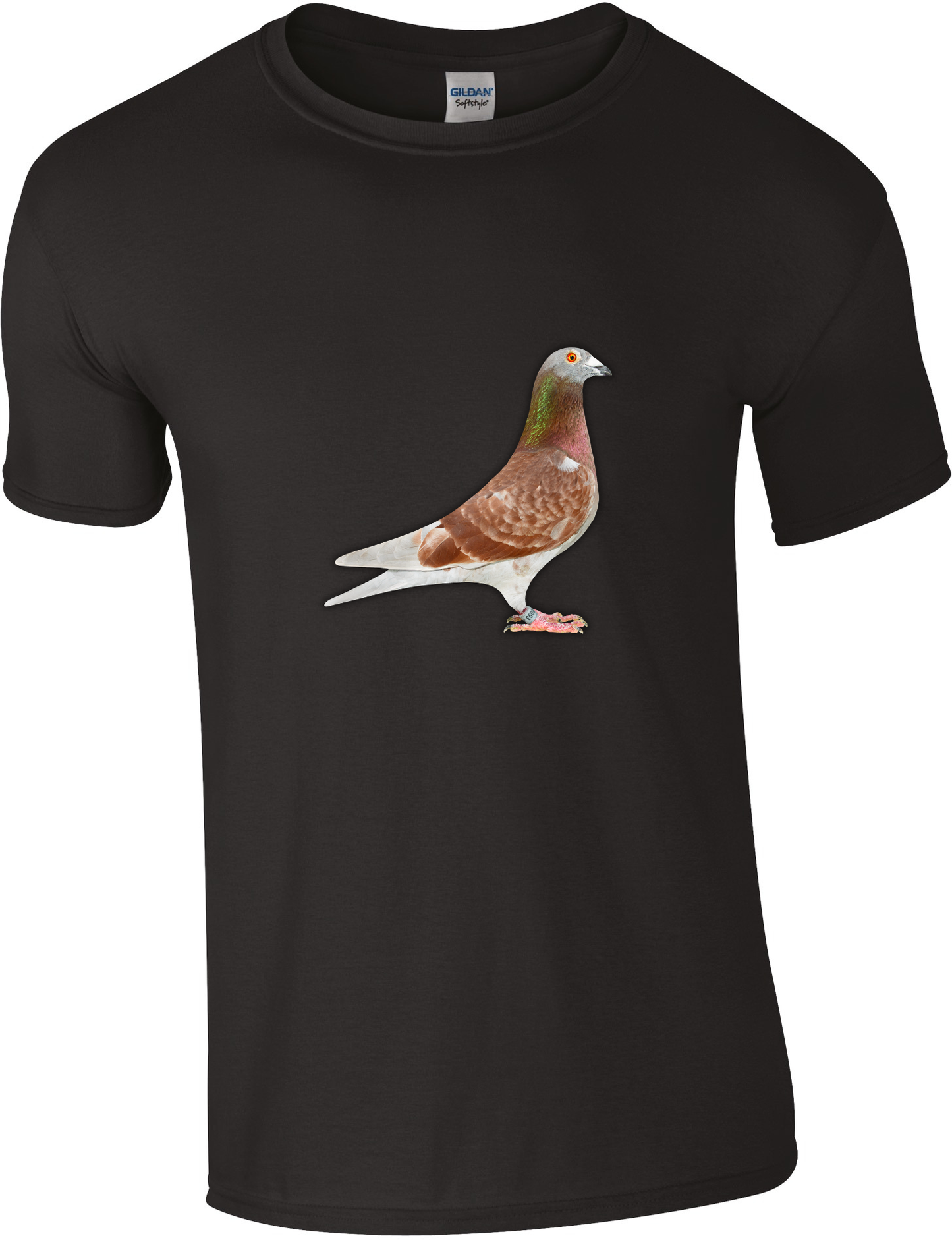 DSK Pigeon Collection T-Shirt - Unique Pigeon Design