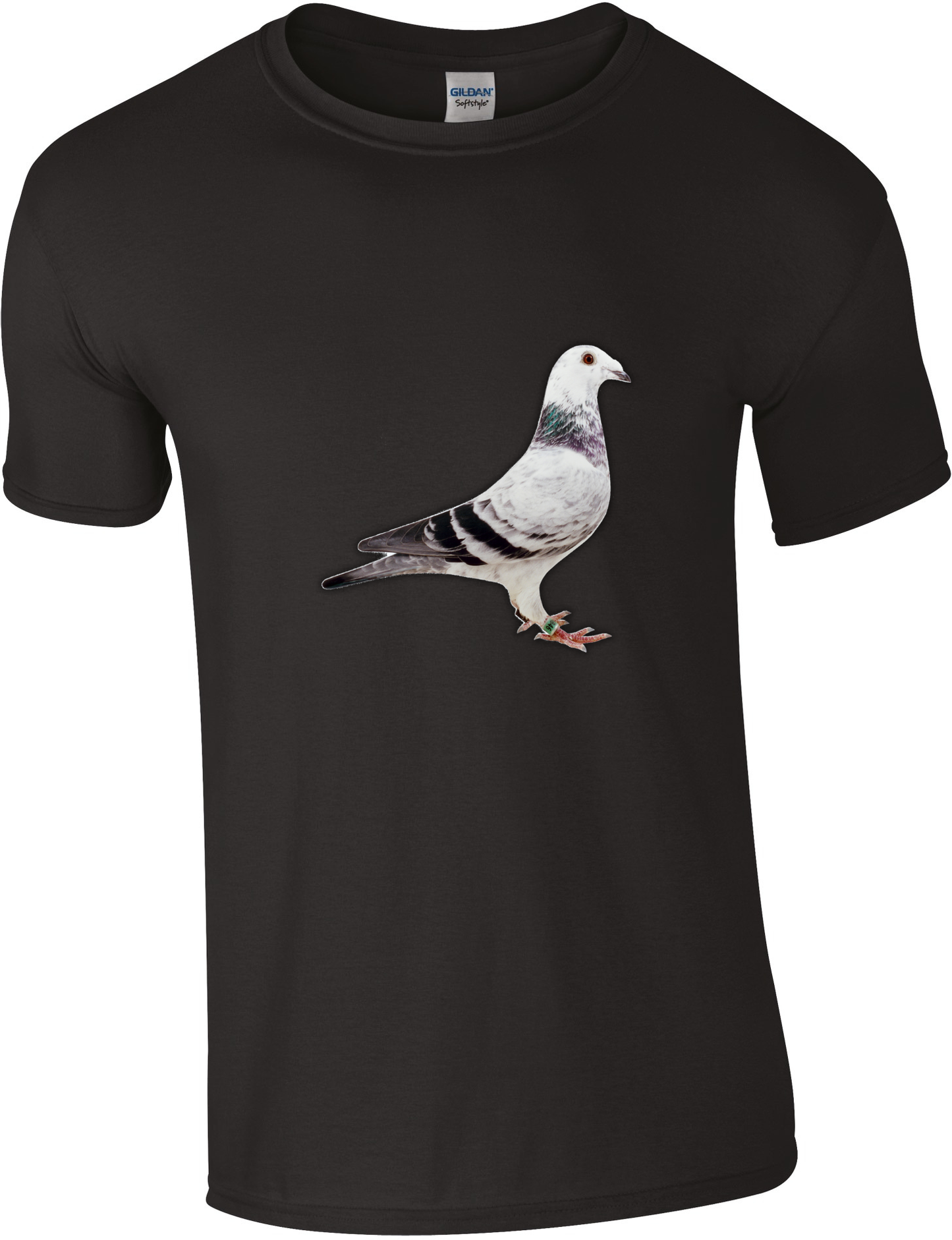 DSK Pigeon Collection T-Shirt - Unique Pigeon Design