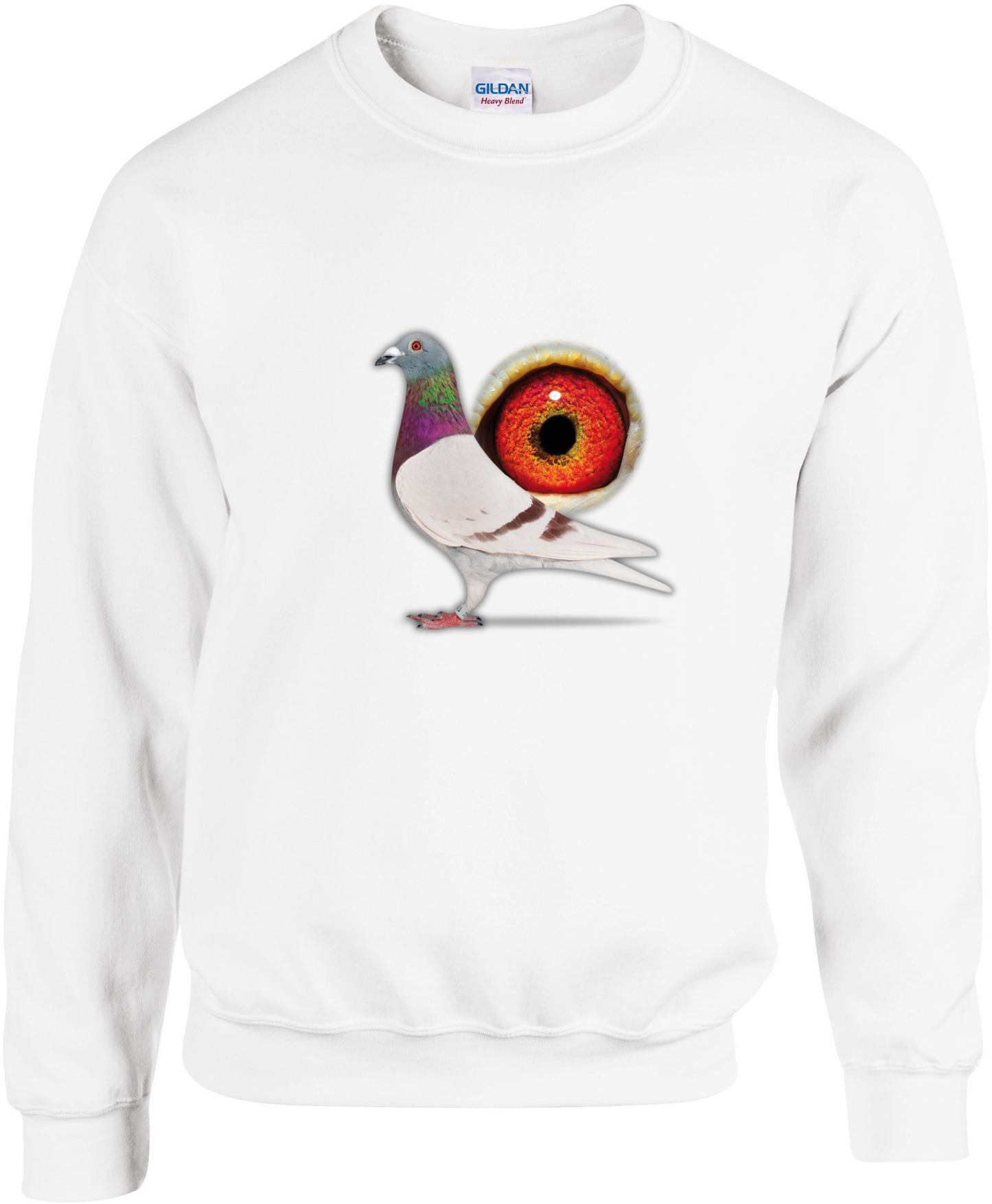 Pullover aus der DSK-Pigeon-Kollektion | Einzigartiges Tauben-Design