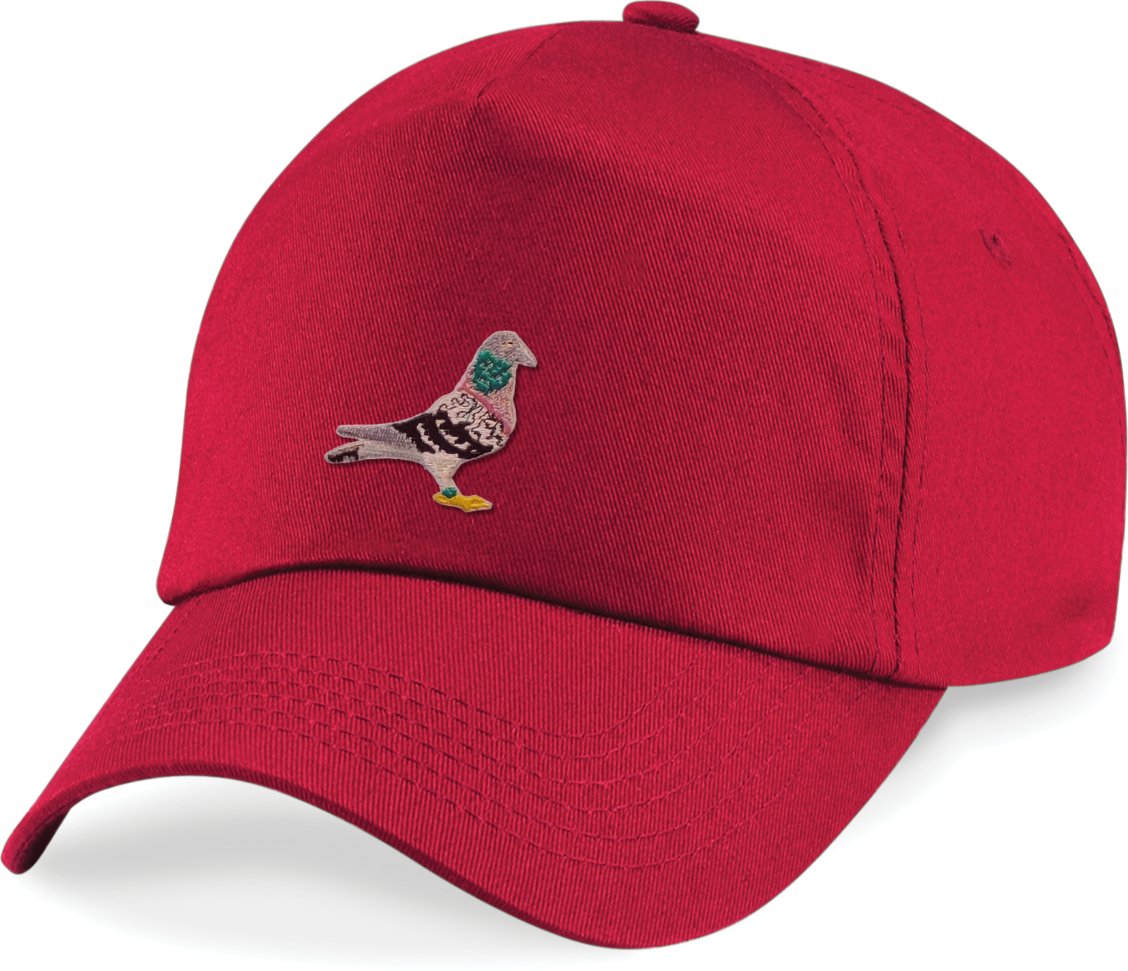 DSK Original Pet - Verstelbare Cap met Geborduurd Logo