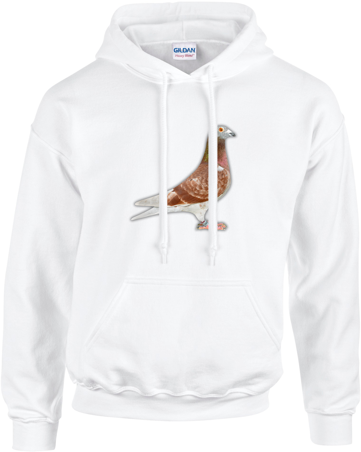 DSK Pigeon Collection Hoodie | Trendy Pigeon Sport Clothing