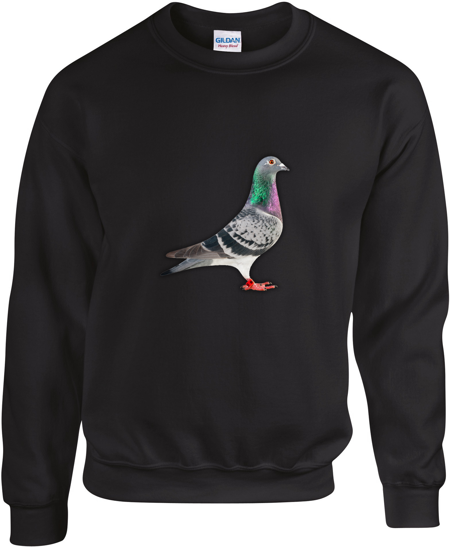 Pullover aus der DSK-Pigeon-Kollektion | Einzigartiges Tauben-Design
