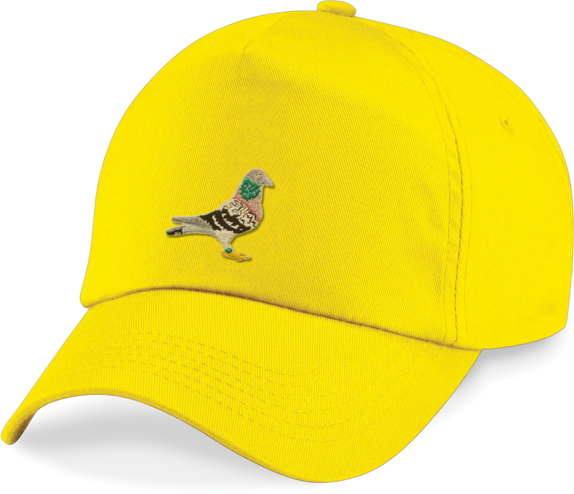 DSK Original Pet - Verstelbare Cap met Geborduurd Logo