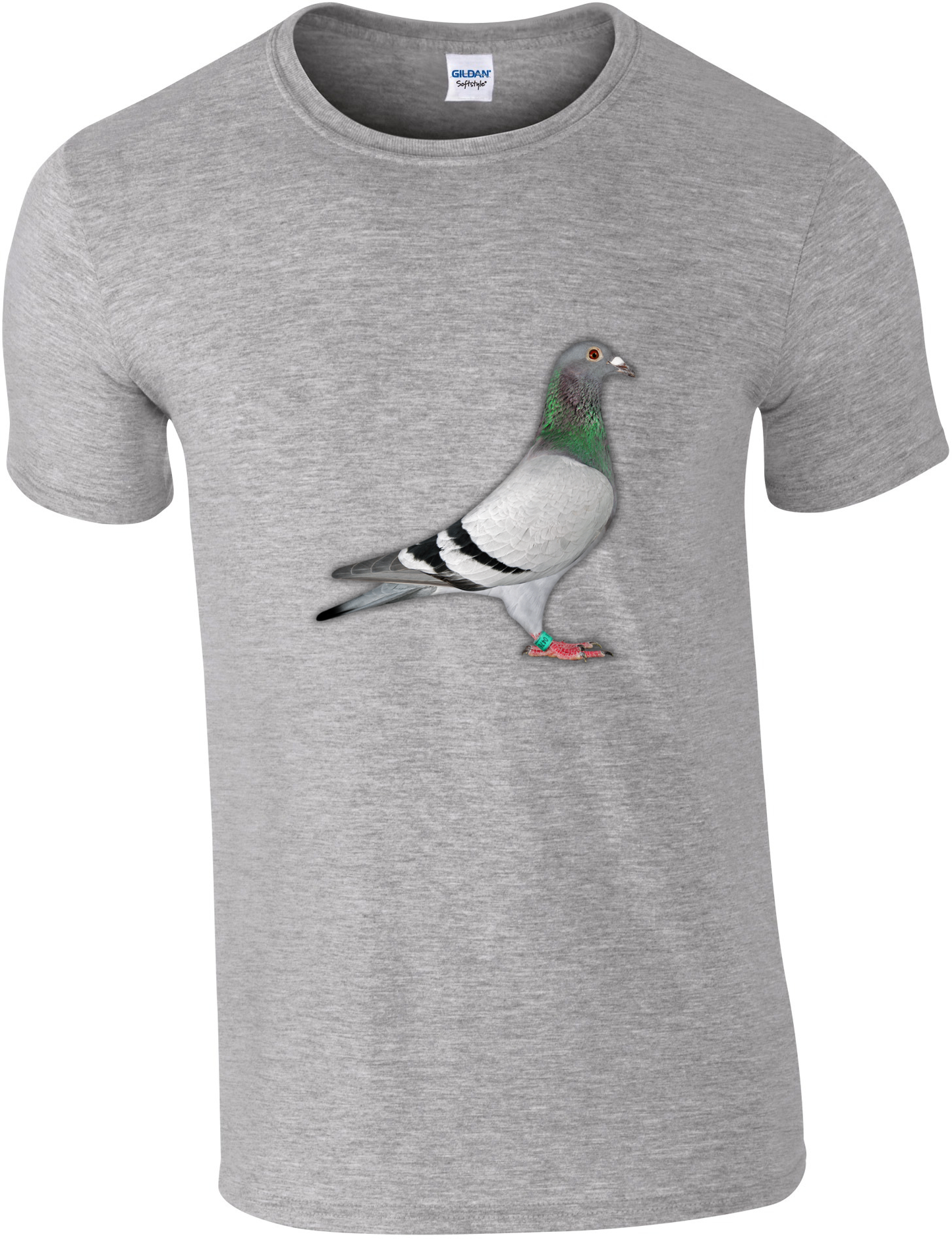 DSK Pigeon Collection T-Shirt - Unique Pigeon Design