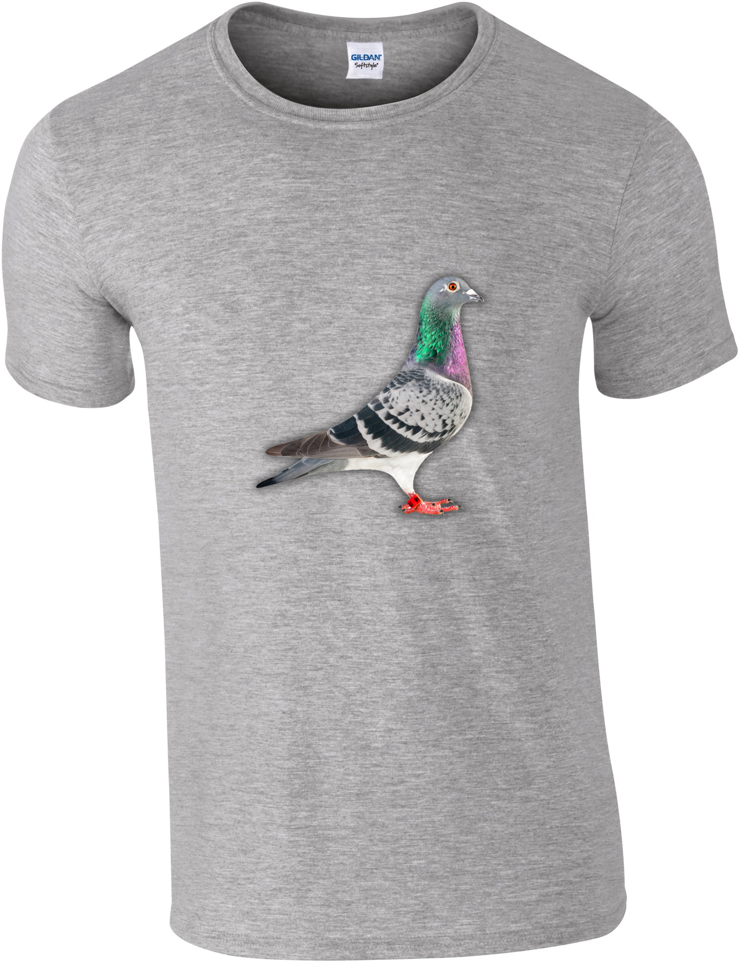 DSK Pigeon Collection T-Shirt - Unique Pigeon Design
