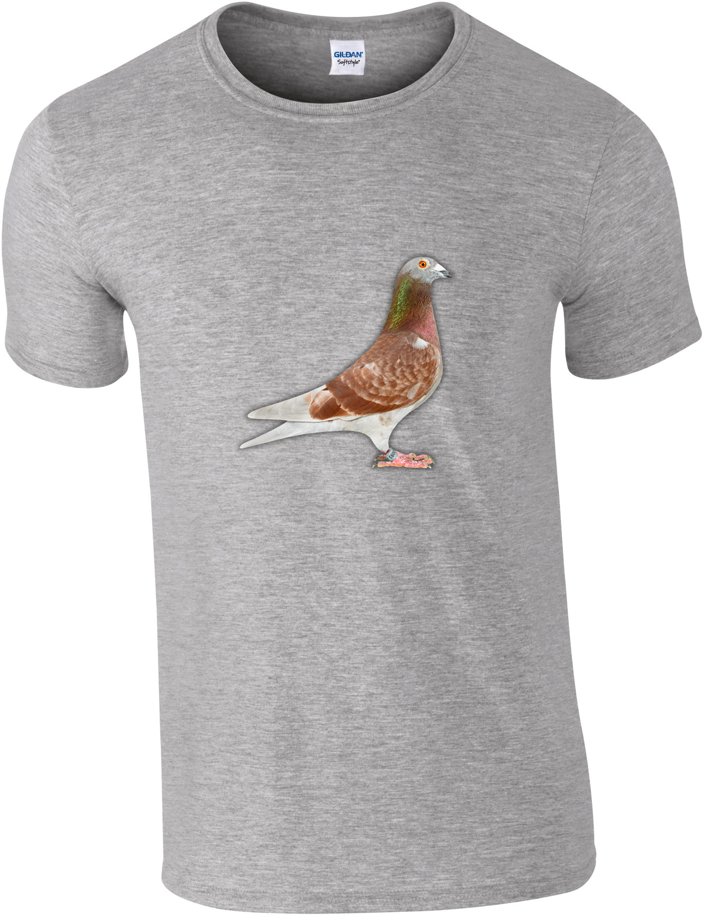 DSK Pigeon Collection T-Shirt - Unique Pigeon Design