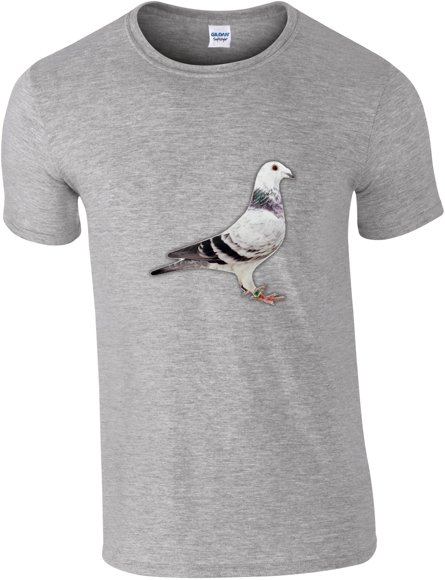 DSK Pigeon Collection T-Shirt - Unique Pigeon Design