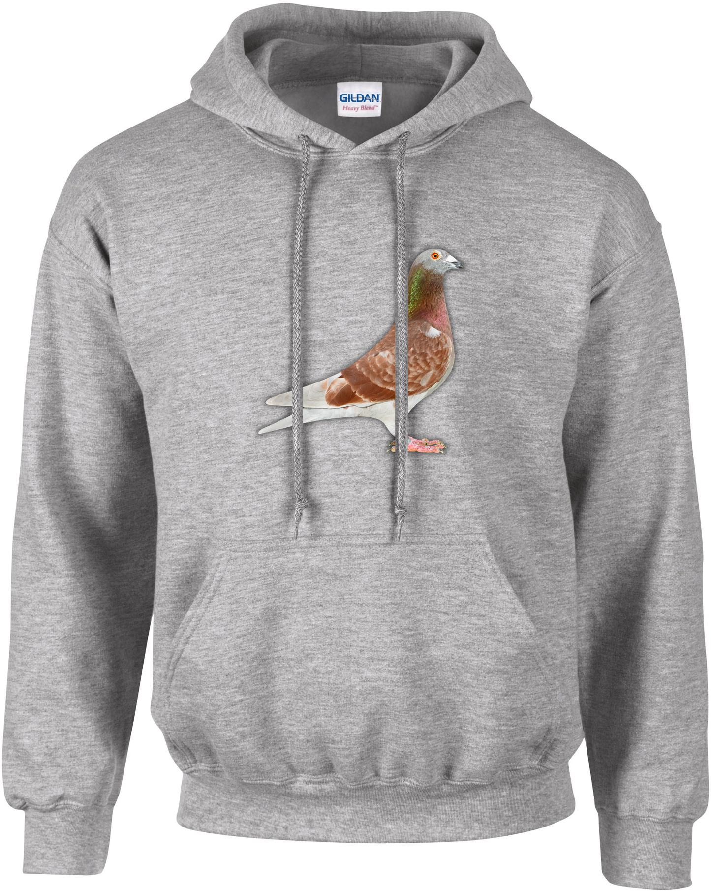 DSK Pigeon Collection Hoodie | Trendy Pigeon Sport Clothing