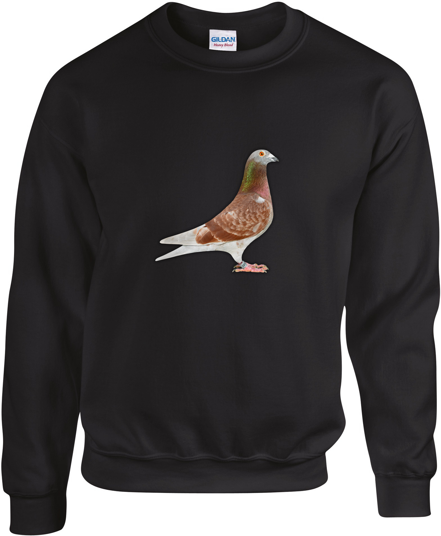 Pullover aus der DSK-Pigeon-Kollektion | Einzigartiges Tauben-Design