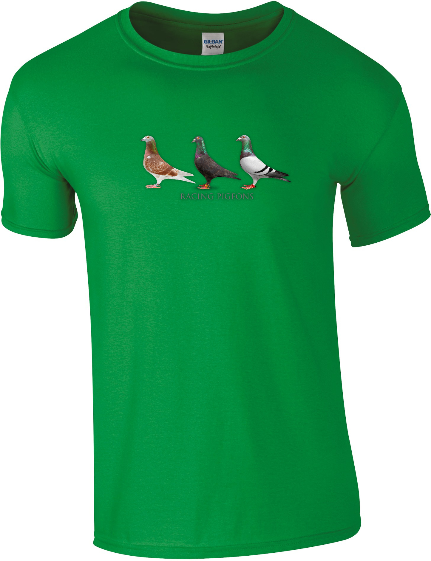 DSK Racing Pigeons T-Shirt – Komfort und Stil