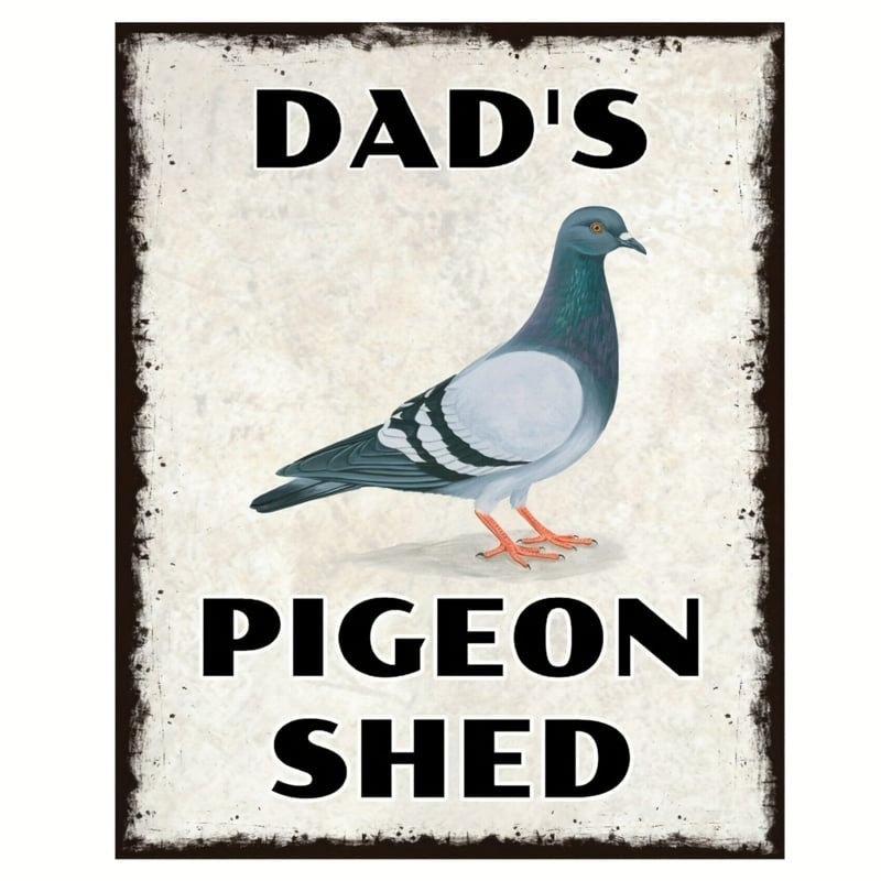 Duiven Bord - "Dad's Pigeon shed"