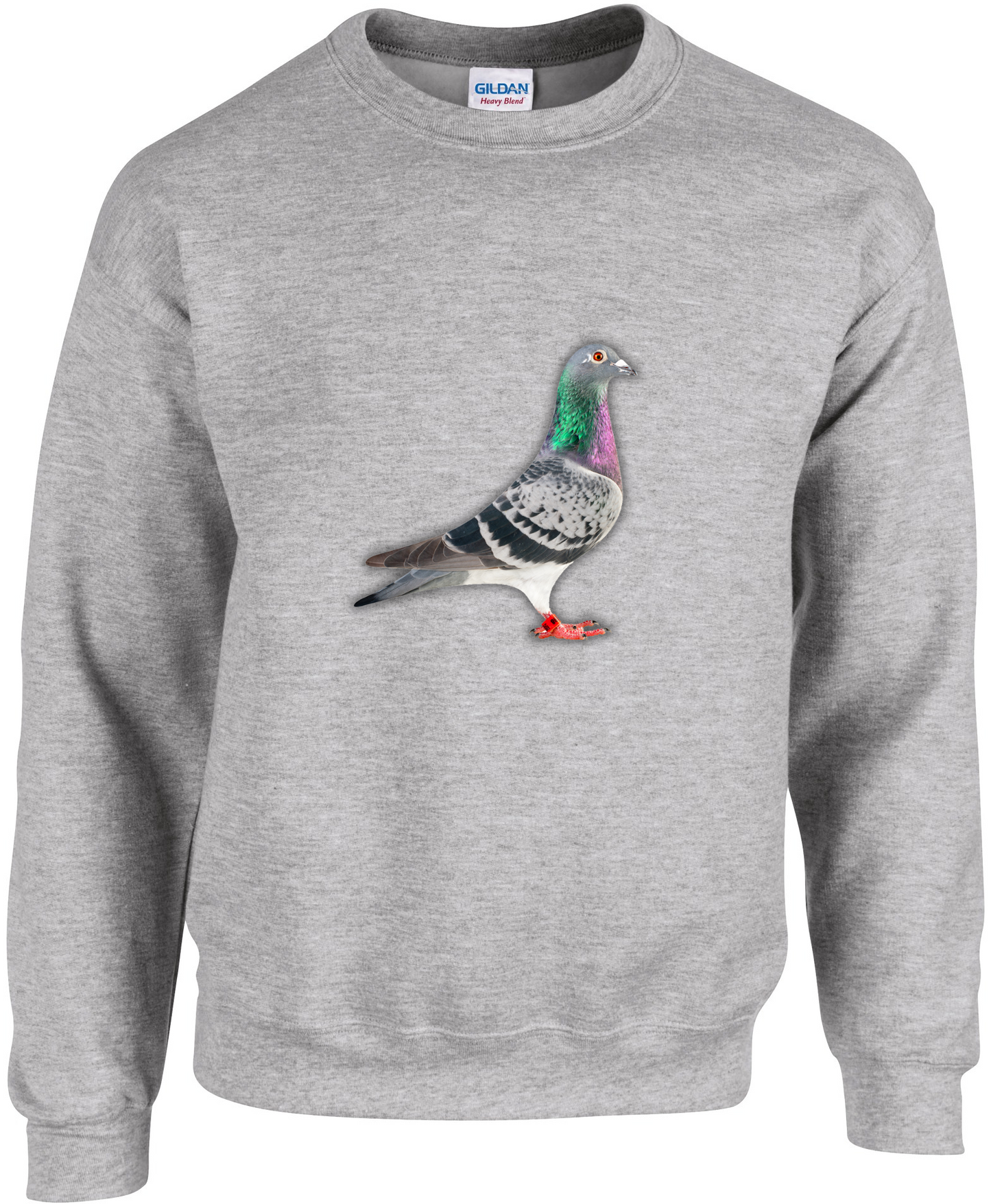 Pullover aus der DSK-Pigeon-Kollektion | Einzigartiges Tauben-Design