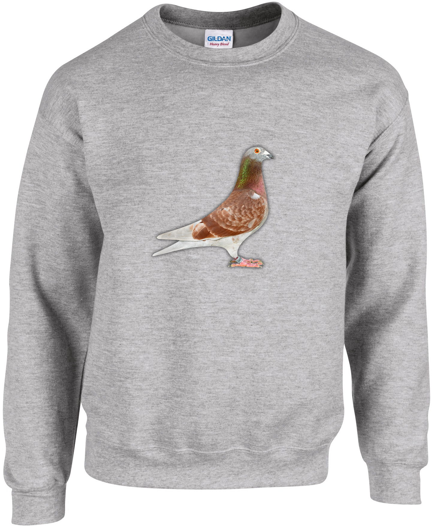 Pullover aus der DSK-Pigeon-Kollektion | Einzigartiges Tauben-Design